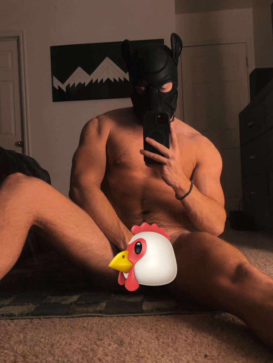 Pup Note tweet media