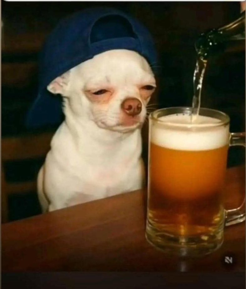 AllanSseky's tweet photo. Batubye akalulu banaye....juzawo beer https://t.co/o1vdWeYwZR
