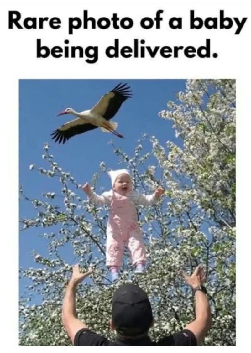 allcanadianmom1's tweet photo. 🤣🤣🤣 https://t.co/XhLtP1oOVE