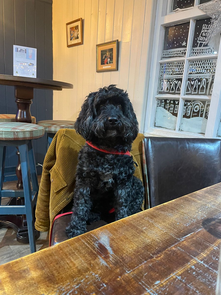 MissingPetsGB's tweet image. 🐕 BAZIL/BAZZER got spooked this morning 17 January 2026 at Broadsands beach and is missing. Paignton #Devon #TQ4

Bazzer is 8 years old Cockerpoo - black with white crest &amp;amp; wearing distinctive red harness. Please reach out with any sightings 🙏