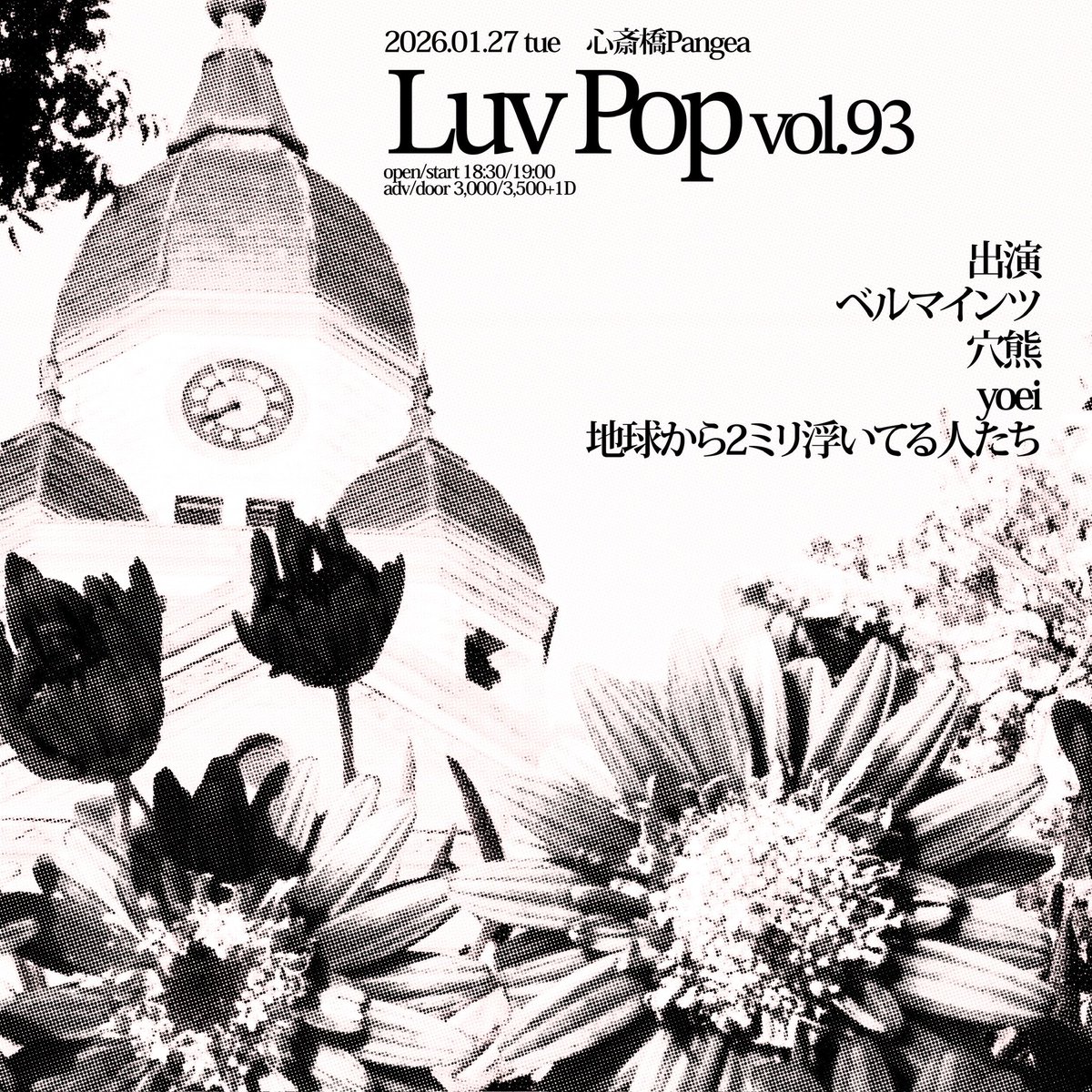 ベルマインツ｜BELLMAINZ tweet media