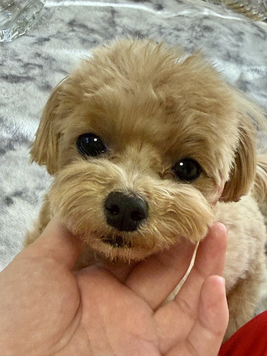 おはようございます
顎クイっ