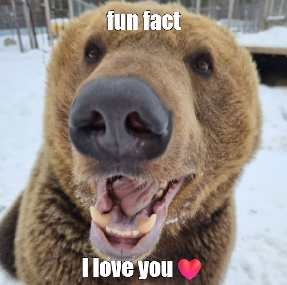 BearyDales tweet media