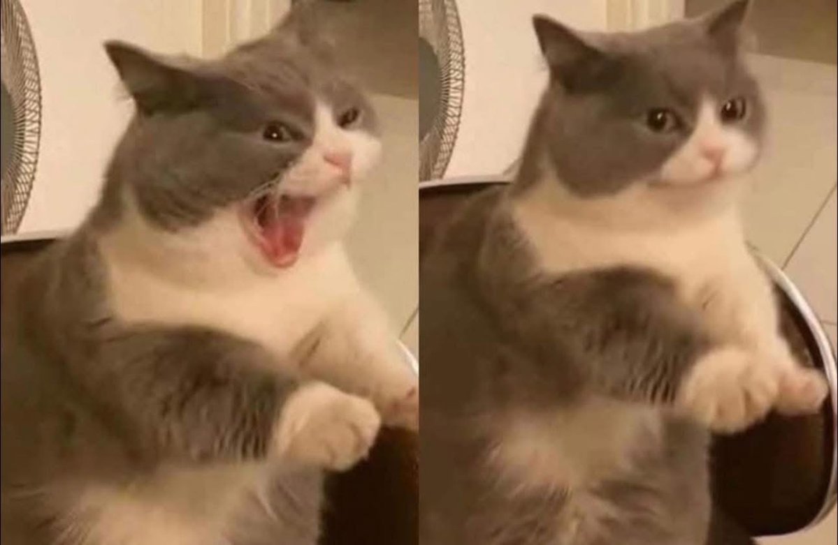 MAMAAAAAÁ TE BUSCAN! / Ahorita viene