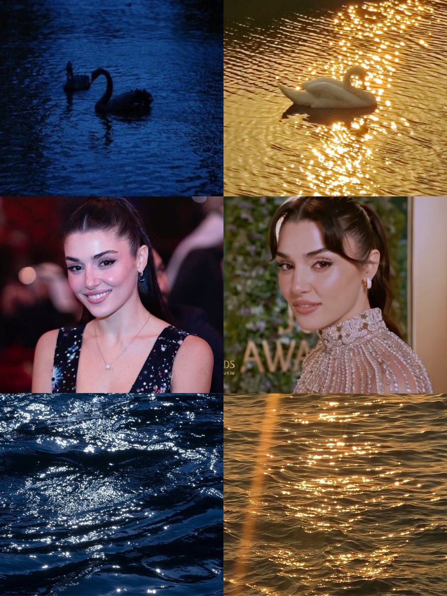 🌚                                                           🌝