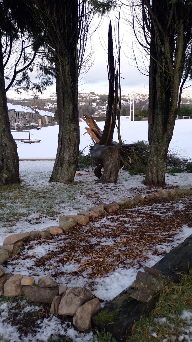 Forgeside Rugby Club tweet media