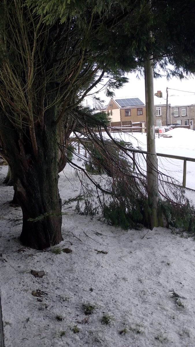 Forgeside Rugby Club tweet media