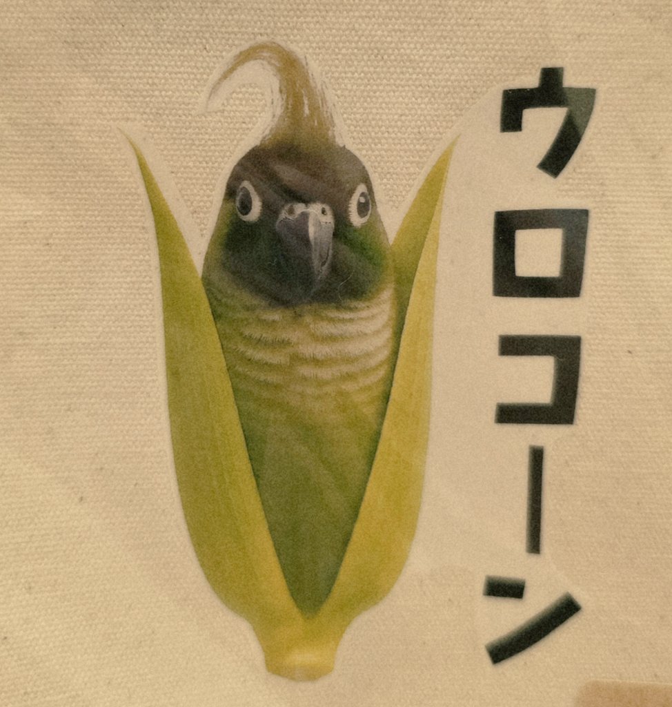 #鳥フェス松山 から販売開始の新作、「ウロコーン」です。今回お試しで販売しましたが、好評なら他のカラーも作ろうかな😀
#お騒がせインコストーリー