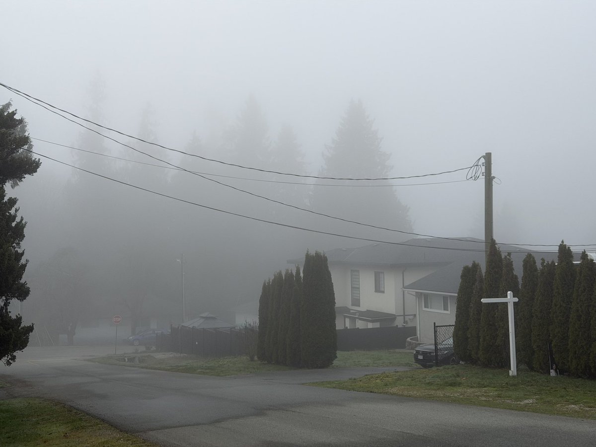 Syntheticus Humanitus tweet media