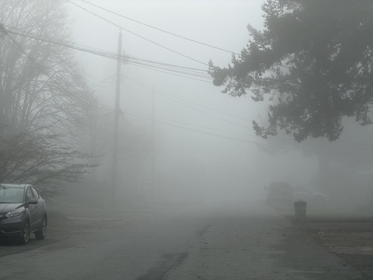 Syntheticus Humanitus tweet media