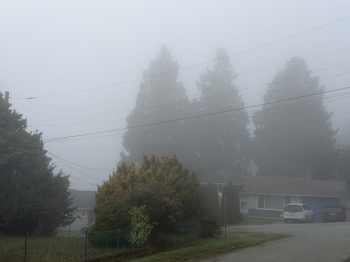 Syntheticus Humanitus tweet media