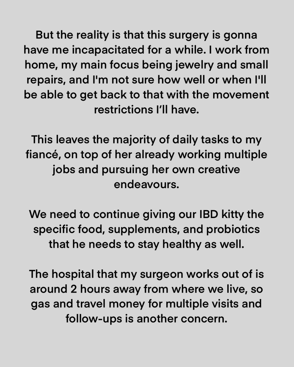 ldonsi 🦊🌙 tweet media