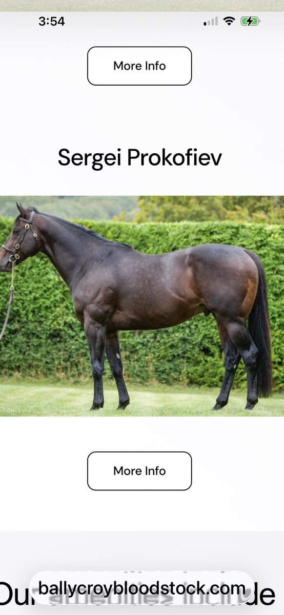 His son won the grade 3 today in Riyadh and qualified for the 20 Million Dollar Saudi Cup! And he stands in Canada 🇨🇦