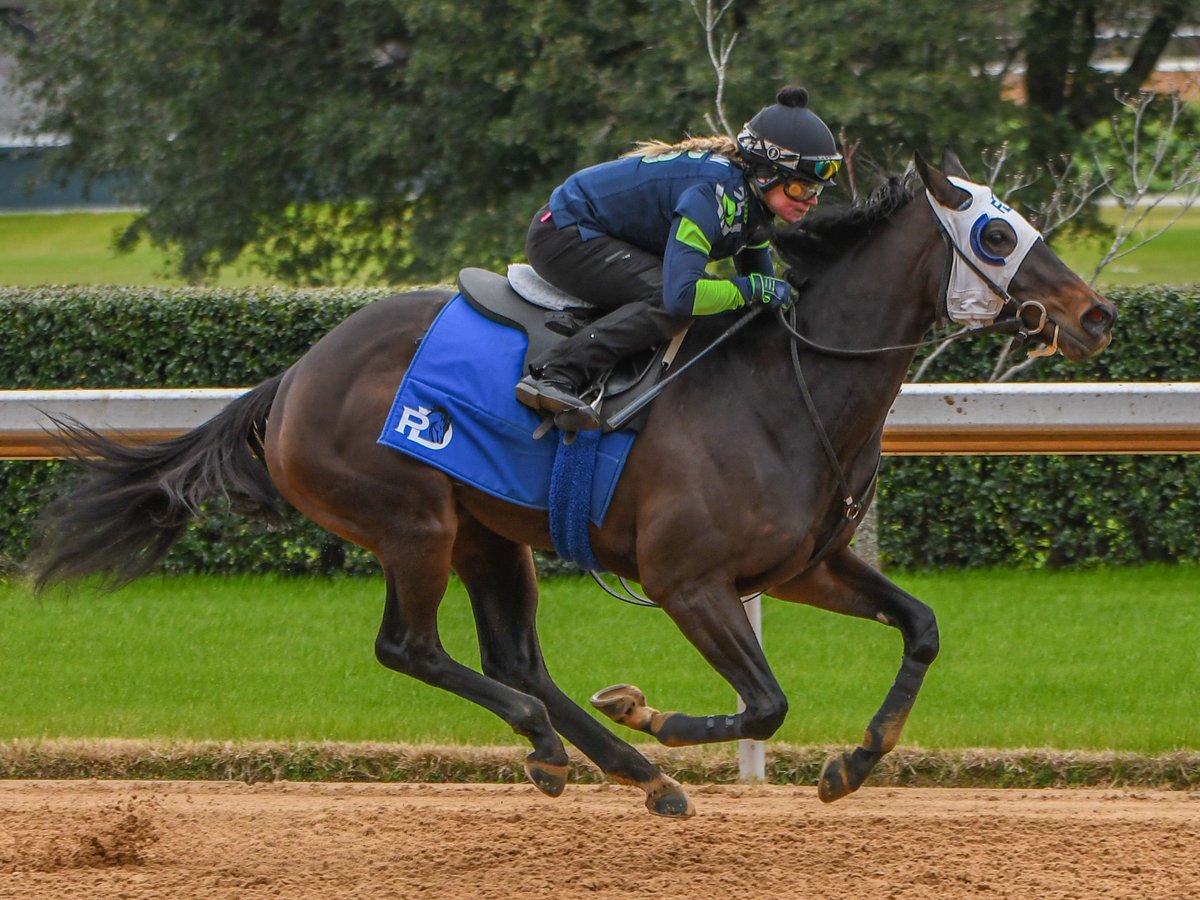 Robert Yates tweet media