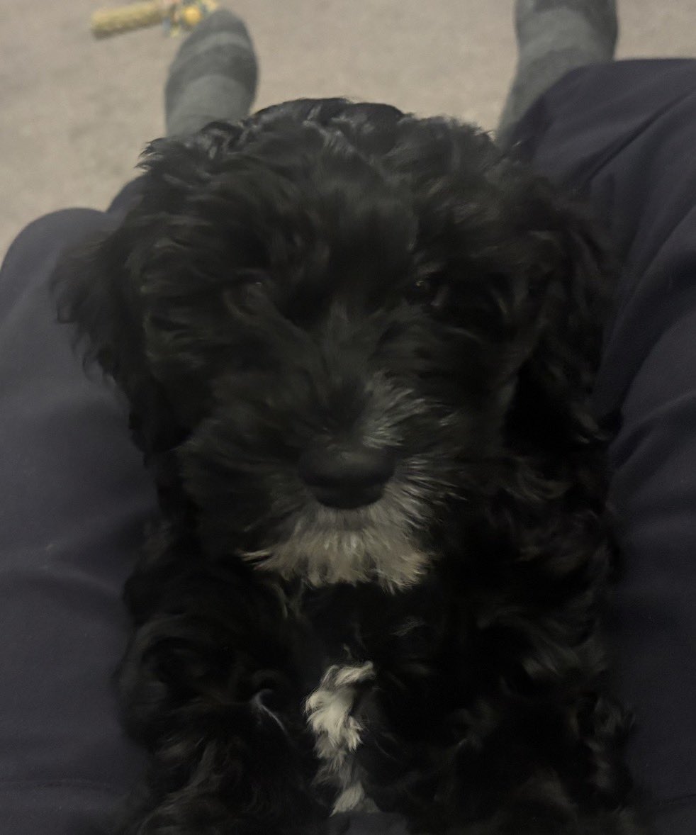 Finbarr McCarthy tweet media