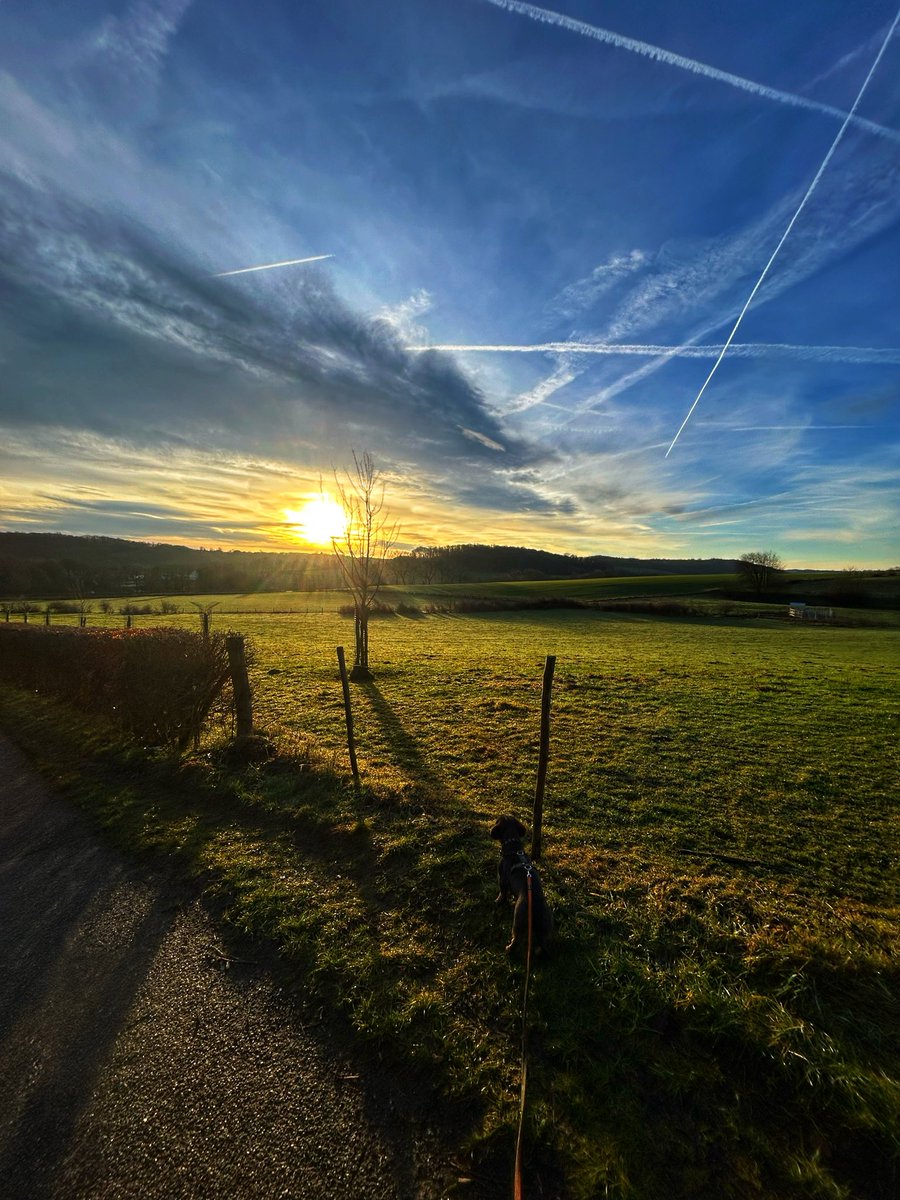 henripost's tweet photo. Wandelen met de hondjes rond zonsopkomst bij Euverum #magnifiekZL #euverum https://t.co/ZRqKXWGawU