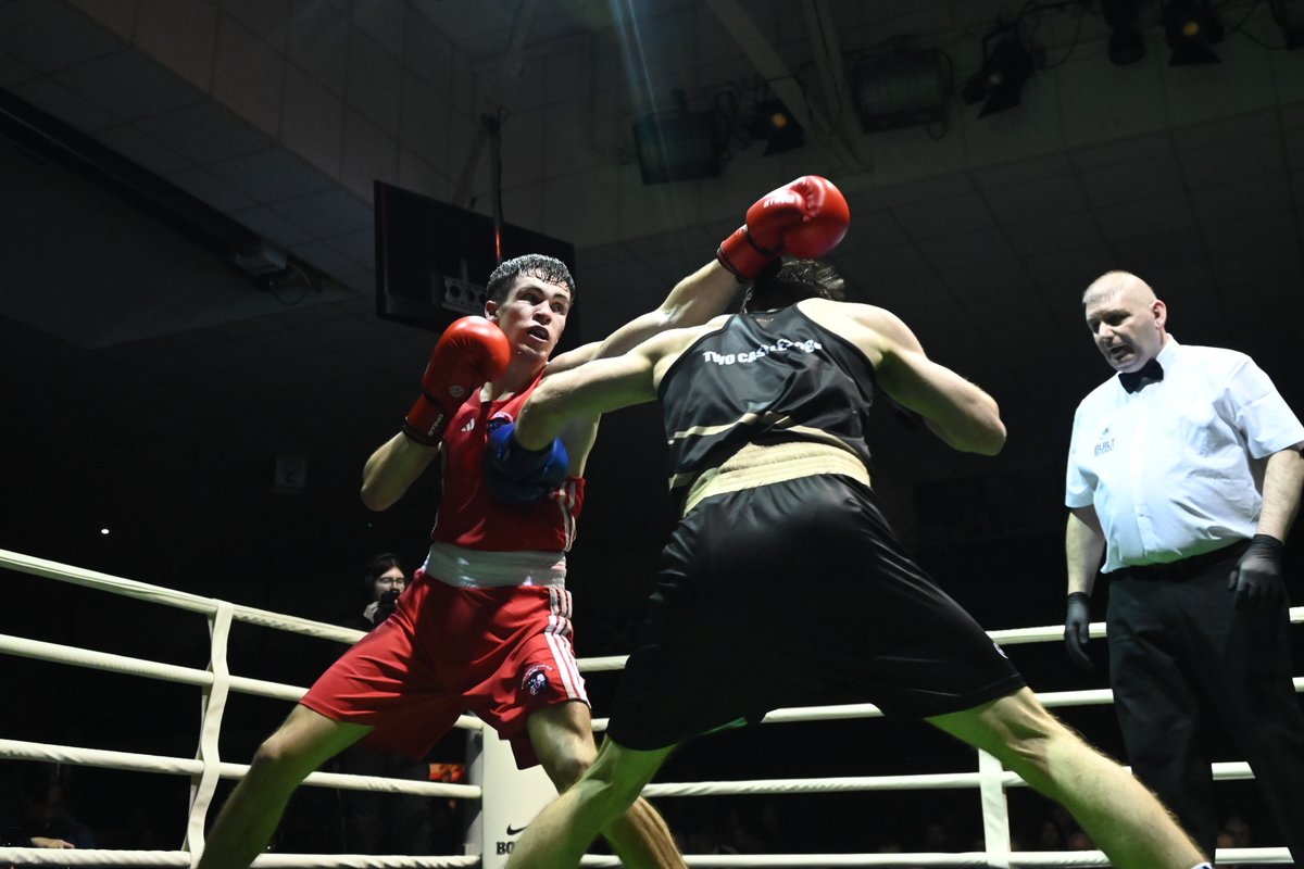 Boxing Ireland tweet media