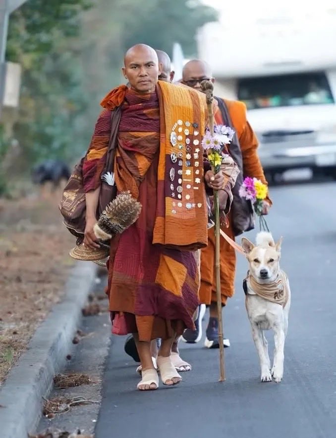 Pay attention, Nobel Peace Prize committee. <a href="/NobelPrize/">The Nobel Prize</a> 

THIS is what someone who deserves a Nobel Peace Prize looks like... Venerable Bhikkhu Pannakara lives for peace! ☮️