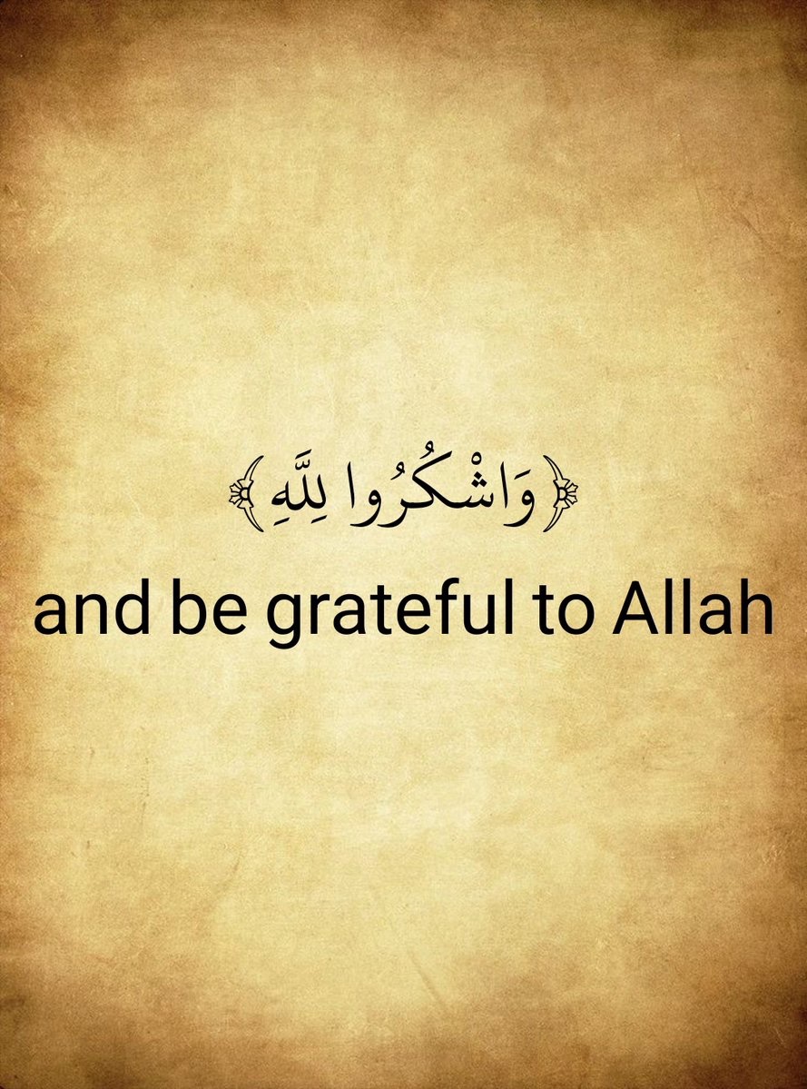 The Holy Quran (@almosahfen) on Twitter photo 