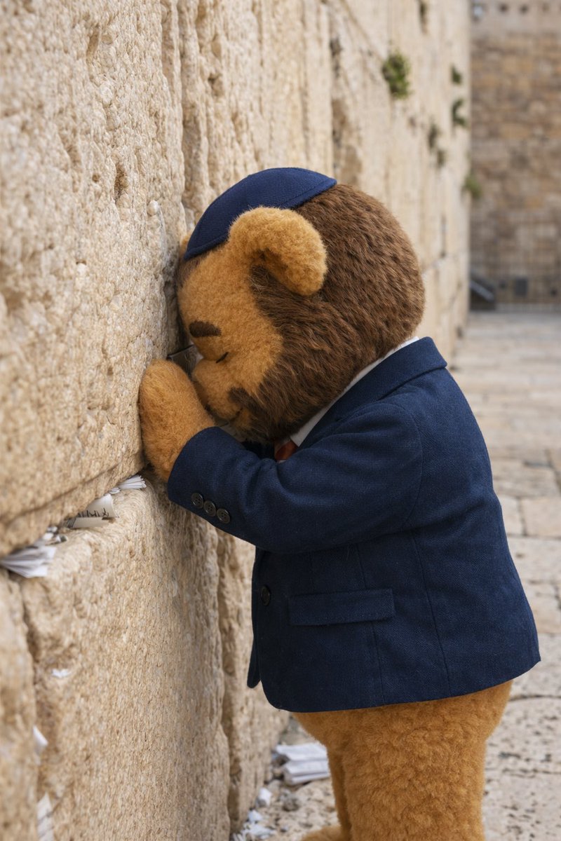 Teddy Cruz tweet media