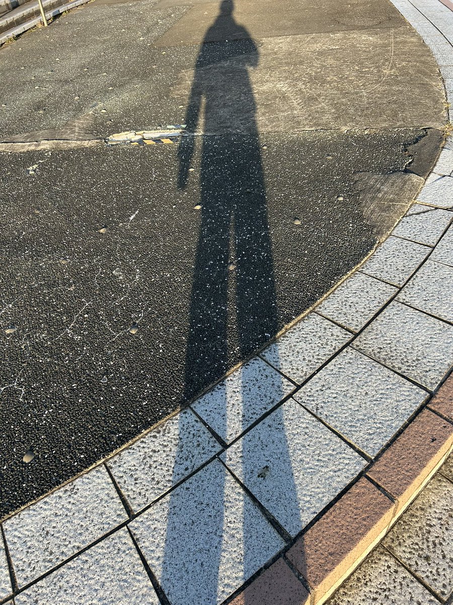 ＃朝の写真館
＃わたしがいたせかい