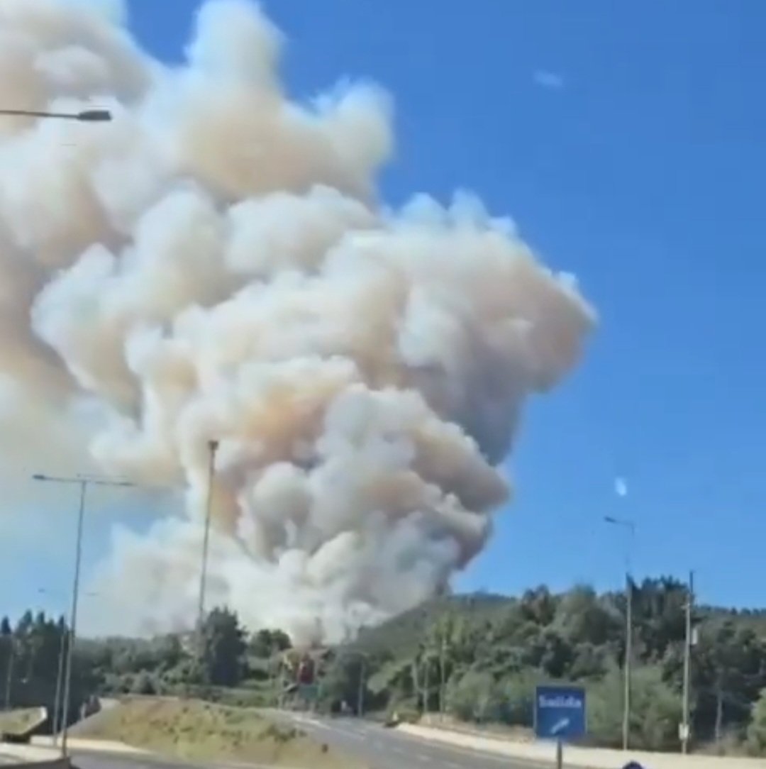 Ya empezaron los wns a quemar Chile. Incendios forestales simultaneos en Quillon, Los Angeles, Penco y Coronel. Concepción #incendio