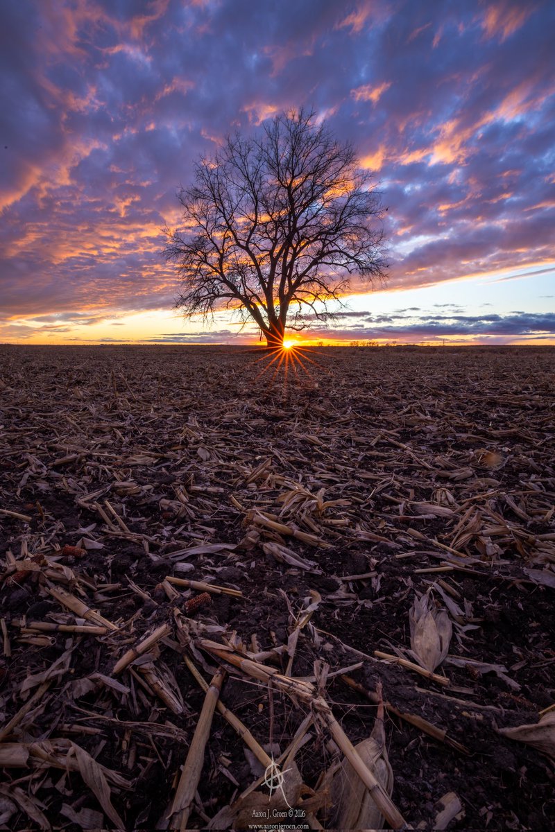 Aaron J. Groen tweet media