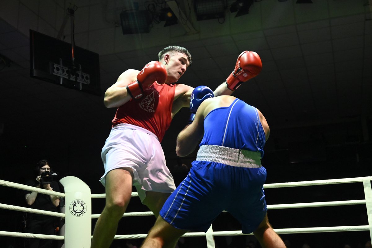 Boxing Ireland tweet media