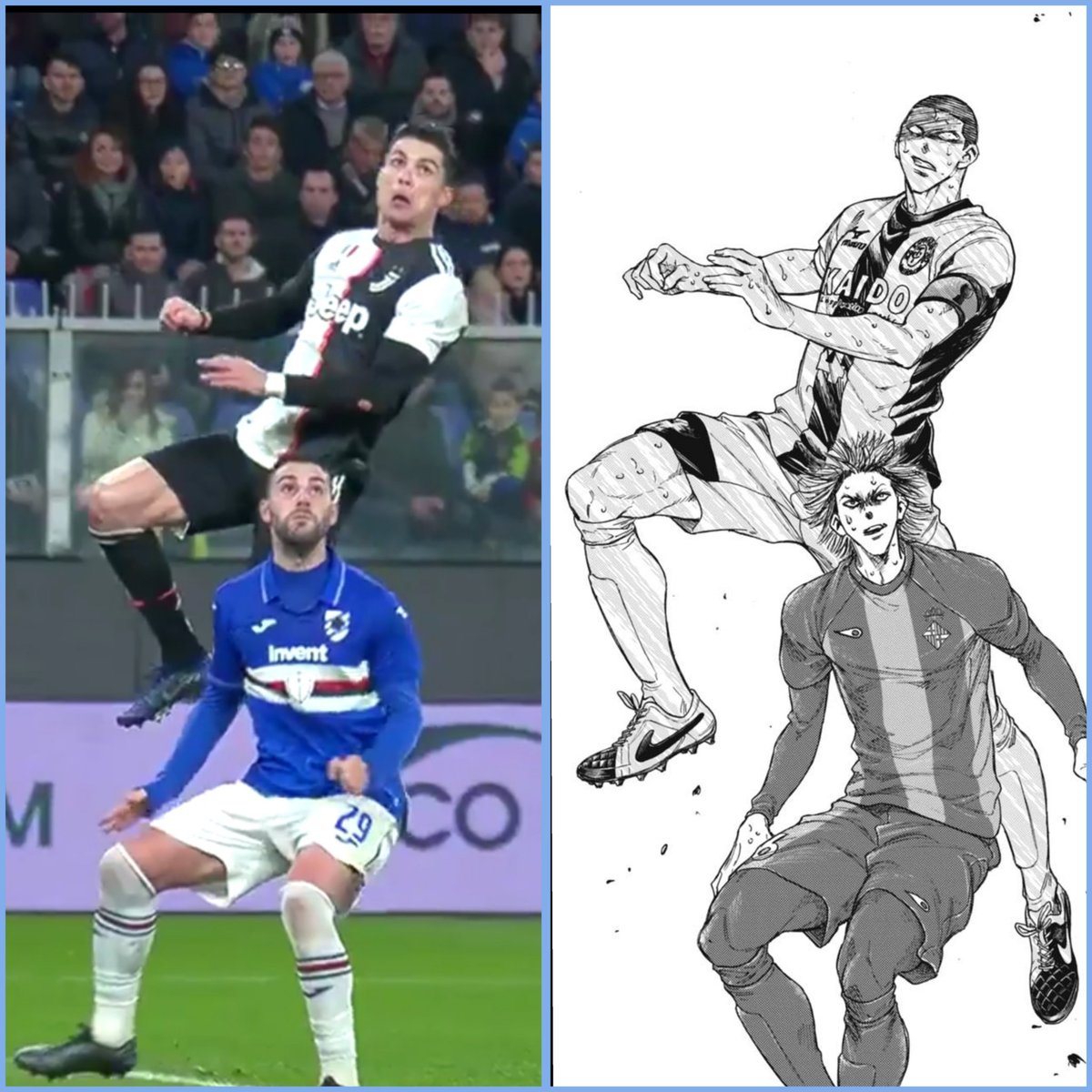 AoAshiBrasil's tweet image. 🐐