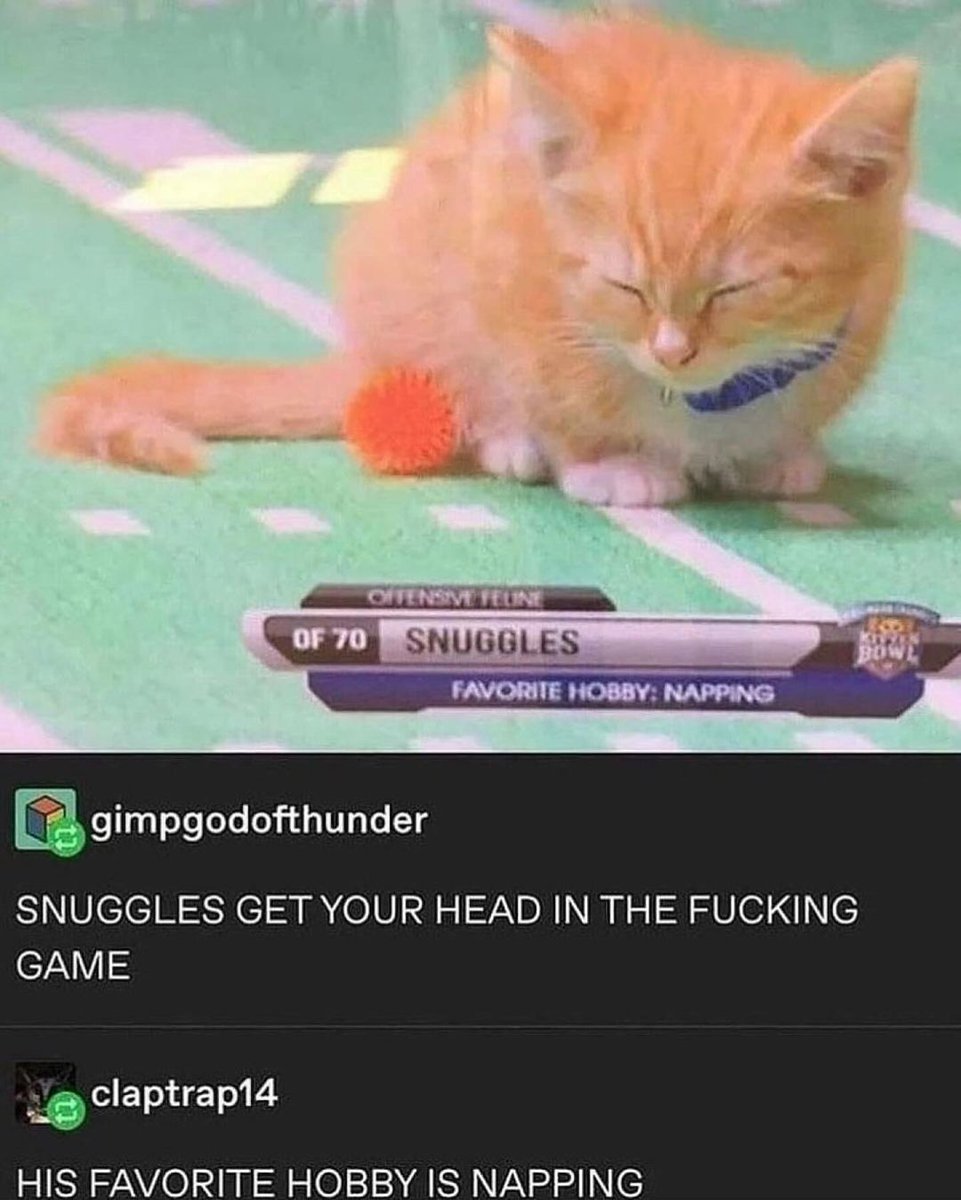 Catsillyness's tweet image. SNUGGLES!