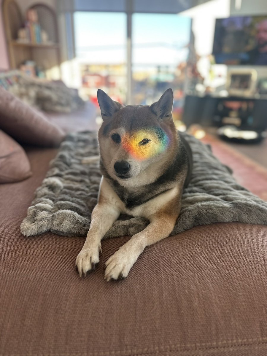 em_dasher's tweet image. Show me a boy who doesn’t have a care in the world