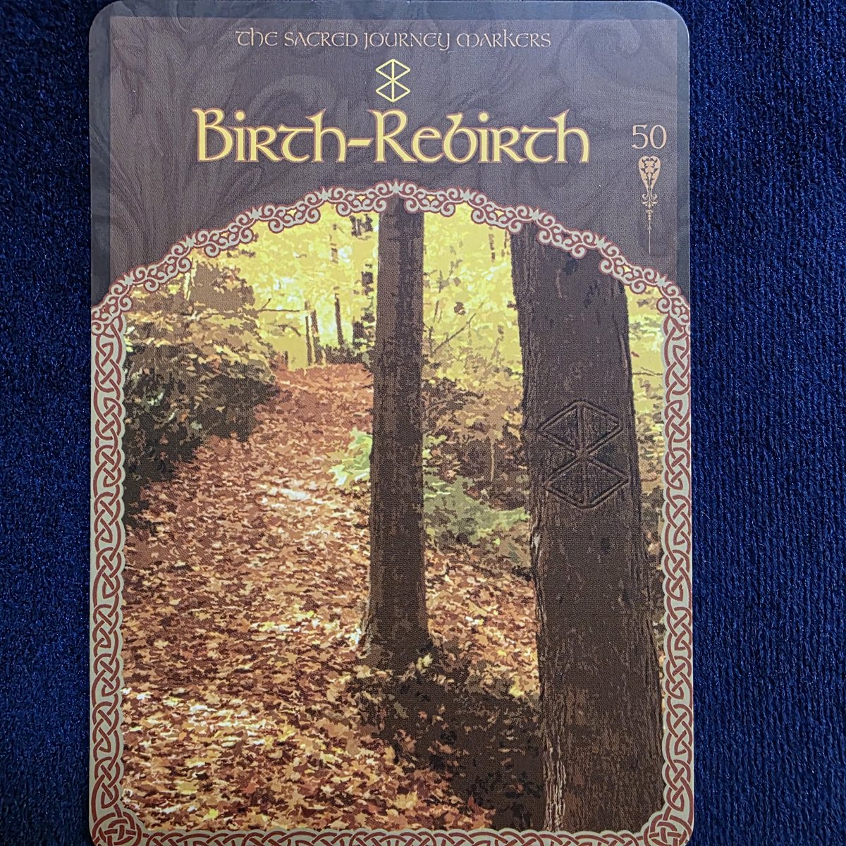 🌈ワンオラクル🌈

転生

季節が変わるように
あなたにも再スタートが
近づいています
新しい活動
新たなネットワーク
ひらめきやアイディア
柔軟で新しい見方が
リセットしても
良いものを教えてくれます

とメッセージが届きました💖

素敵な1日を🍀
#YouTubeタロット