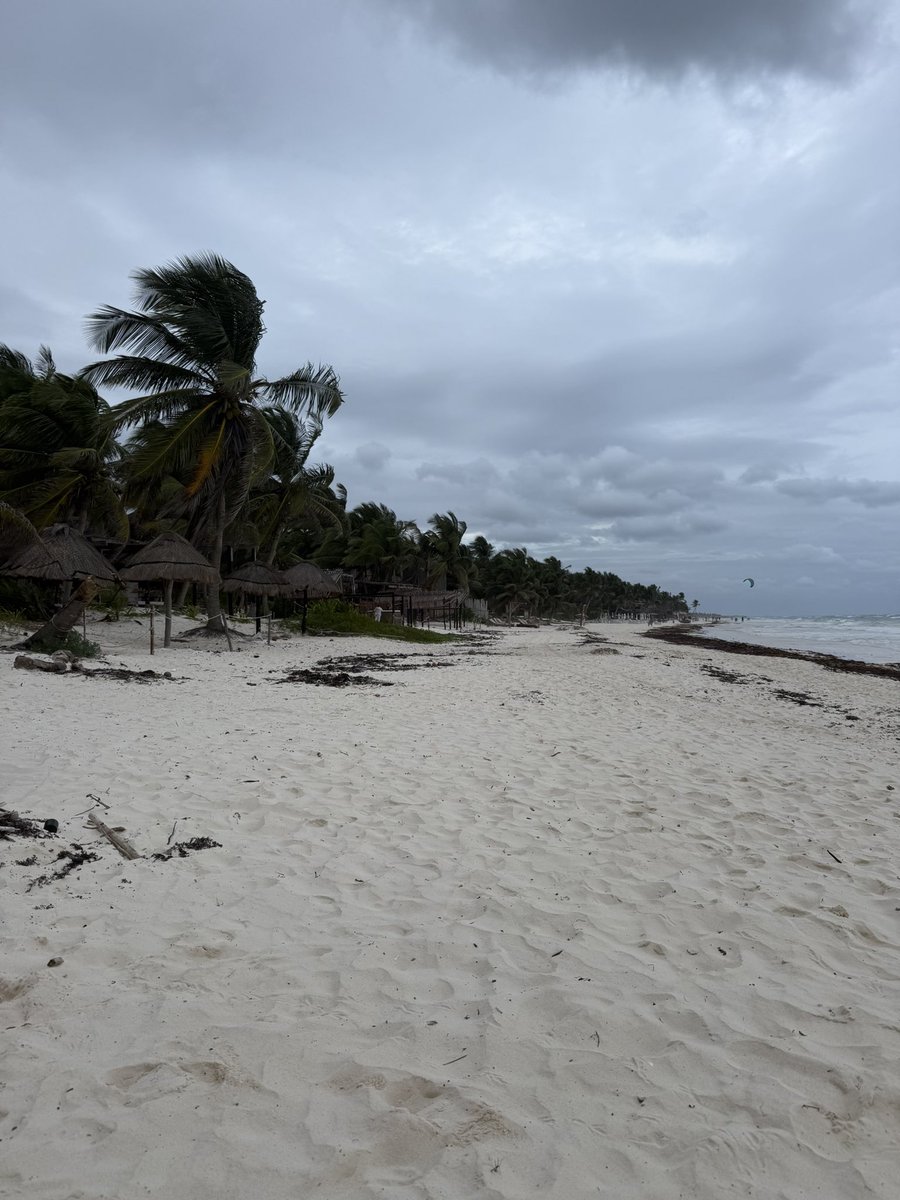 Collyn Richardson tweet media