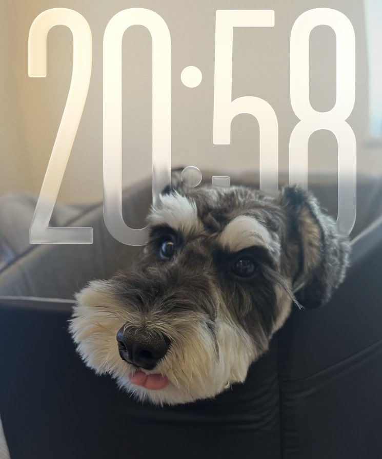 menchi_ms tweet media