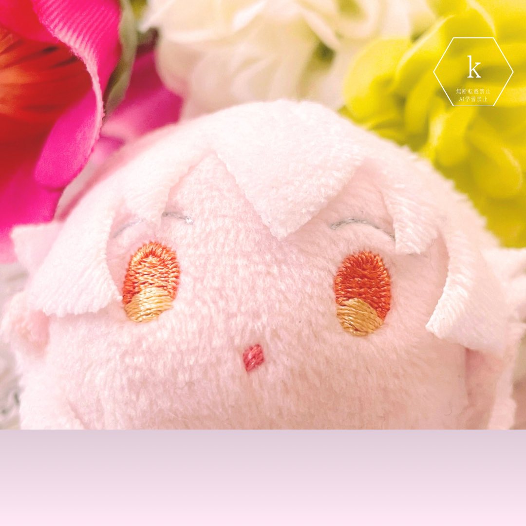 TLにおもちのドアップ画像をあげて人々を幸せにしよう計画 #うちのほん