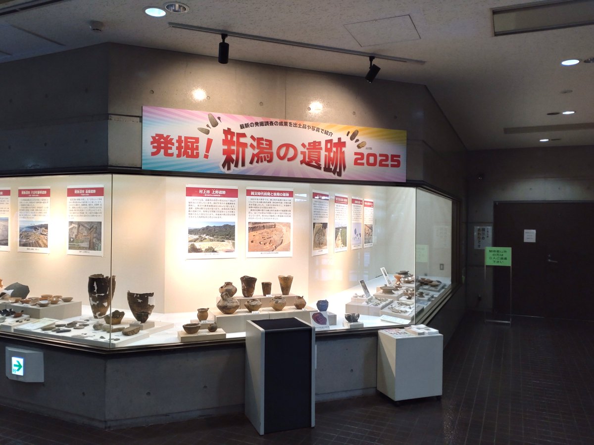 開幕！！企画展2「発掘！新潟の遺跡2025」 目玉は、村上市上野遺跡