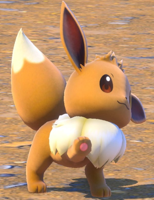 PokeDailyPost's tweet image. Me going to annoy the only person who supports me: