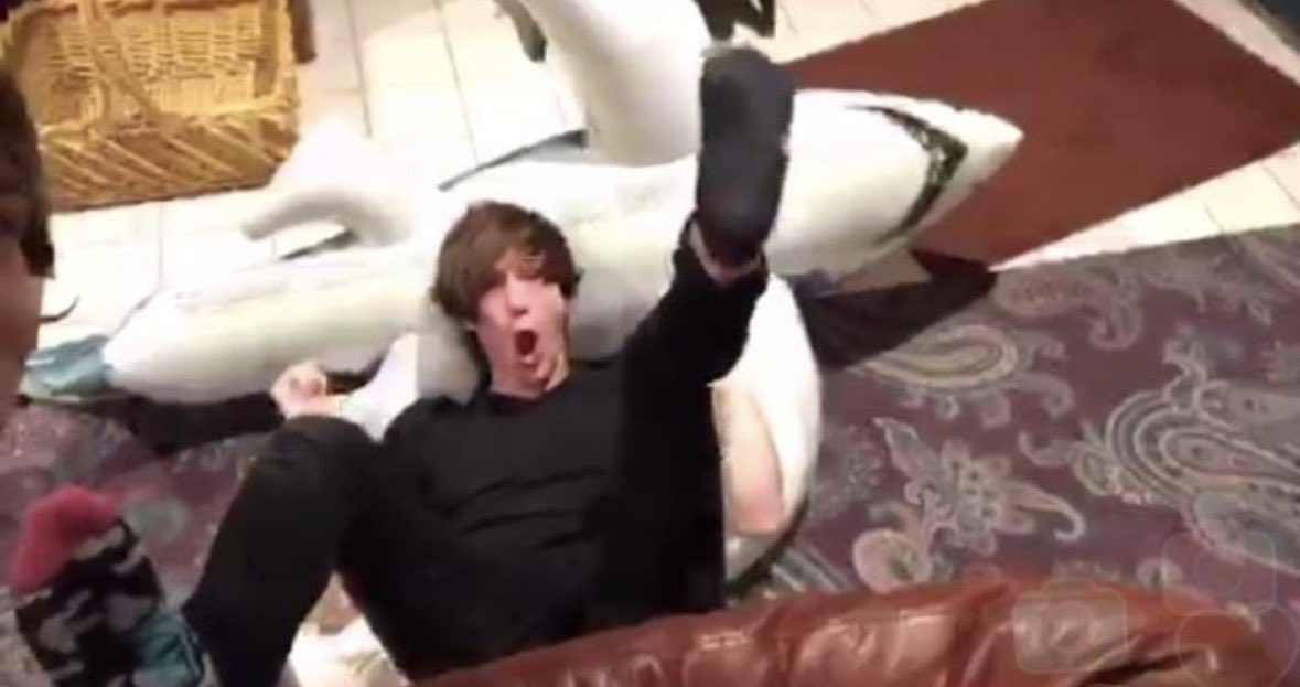 I also just remembered I had a meeting with my management solely about how a blow up shark we named “Daddy Shark” related to the fanbase. what was my life in the 2010s 💀