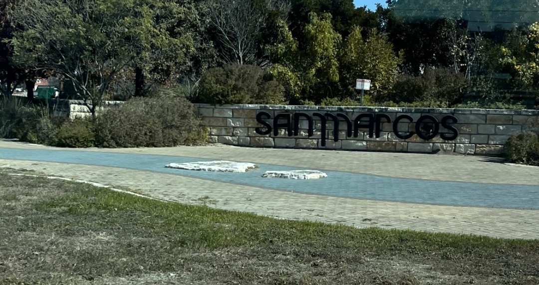 MsMcIntyre tweet media