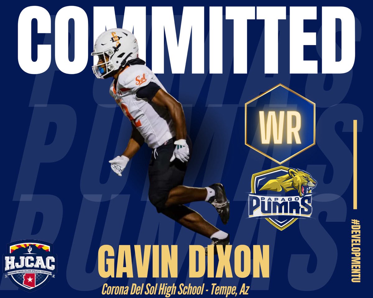 Gavin Dixon tweet media