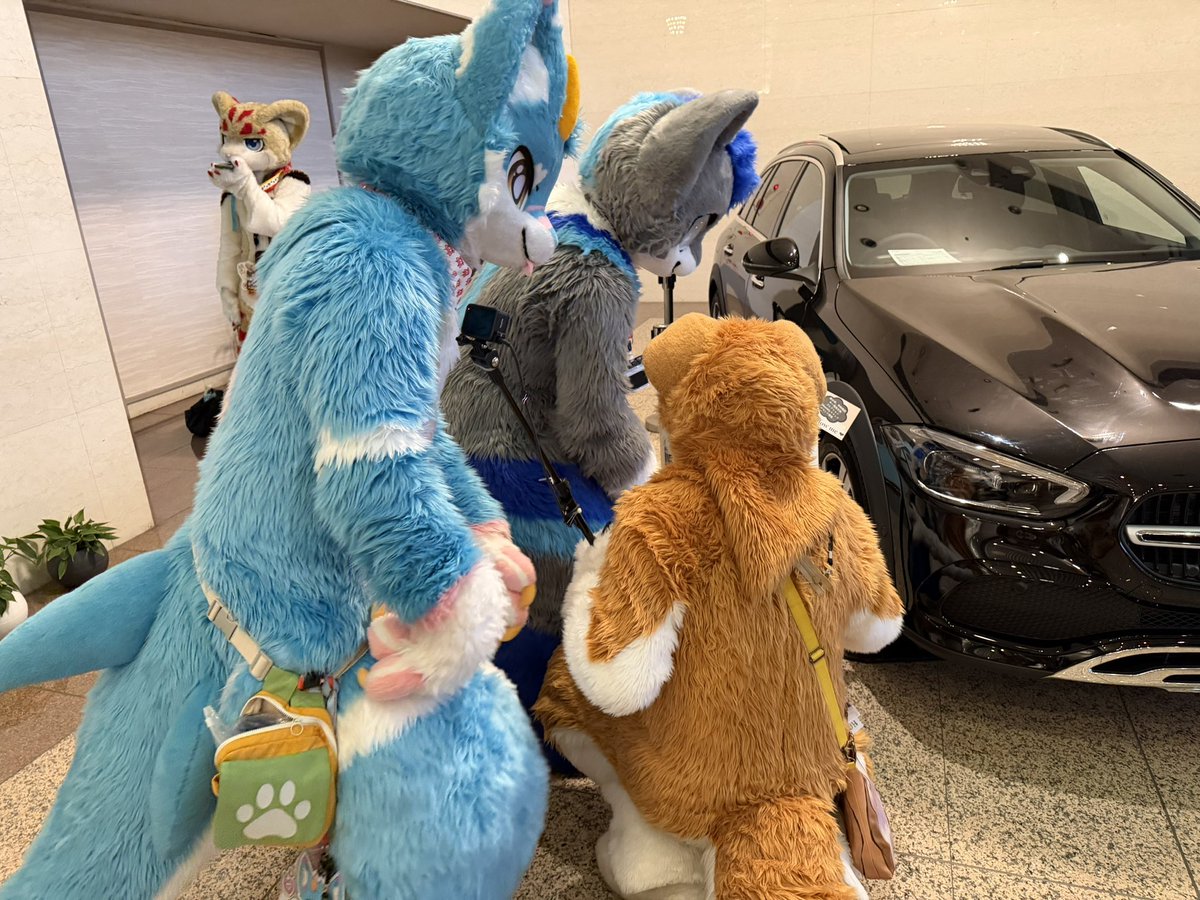 railway_fox's tweet image. これは残クレで新車購入を検討してるケモノたち
#JMoF2026