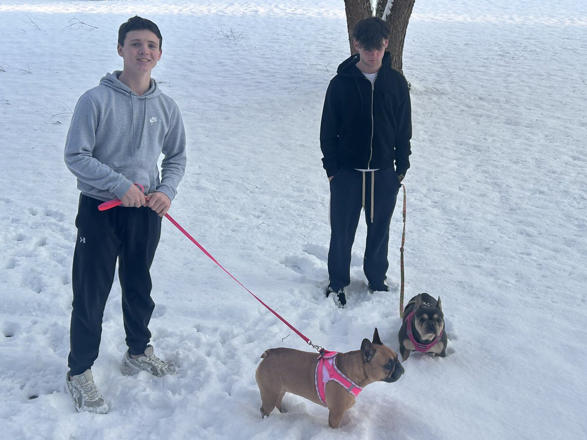 Drove to Amish Country at zero dark thirty in a blizzard, to get a dog for our dog.