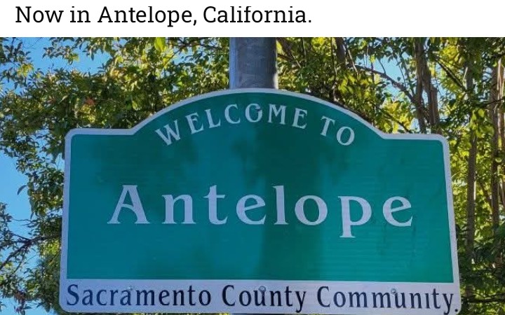 Tony Crow (@tonycrow123) on Twitter photo 