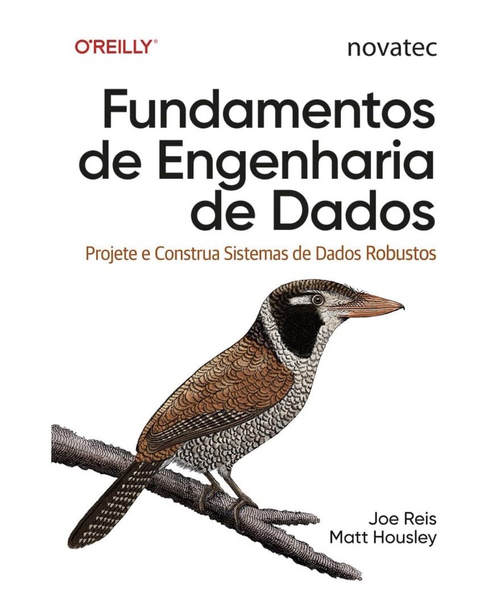 LayTXT's tweet image. Aproveitem essa promoção pra ter um bom material sobre Engenharia de Dados! Finalmente esse livro tá com preço mais acessível na Amazon, pois já foi acima de R$200.