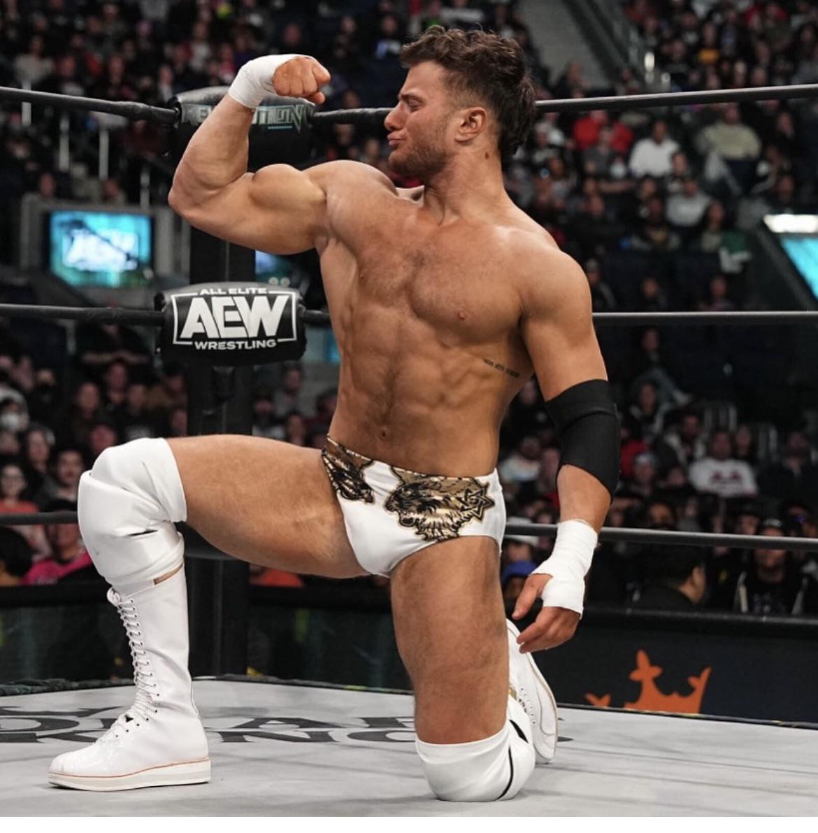AEWsDevilMJF's tweet photo. #StudSaturday from your AEW Champion. https://t.co/Vk3aPKojkv