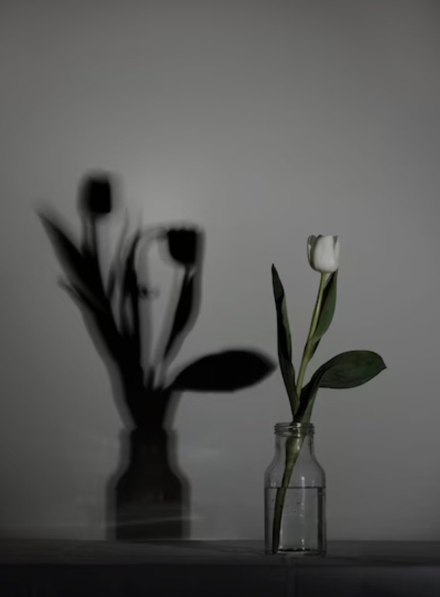 “Poetry is an echo asking a shadow to dance.”

- Carl Sandburg