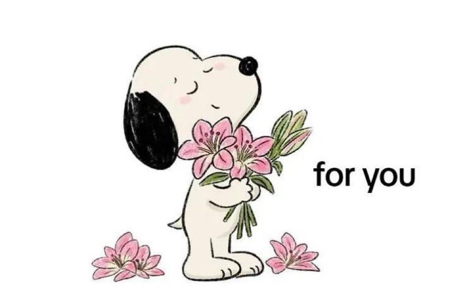 snoopy lover (@snoopyfever_) on Twitter photo 