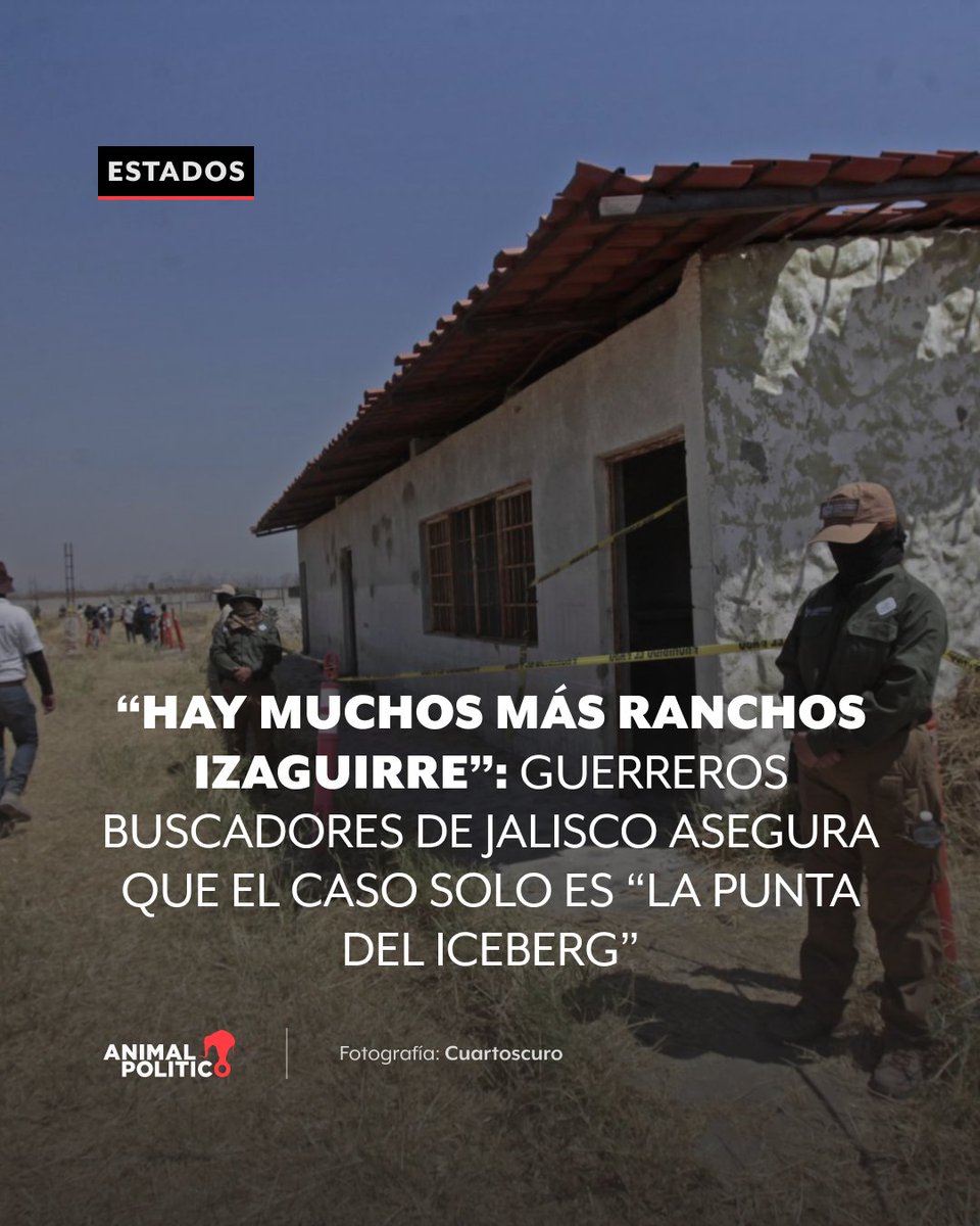 Animal Político tweet media