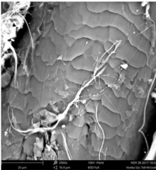 KenanYildiz_isg's tweet photo. 🔬 PLM mi SEM-EDX mi? Asbest analizinde %1 vs %0.01 tespit limiti farkı!

PLM: Hızlı tarama ✅ %1 LOD
SEM-EDX: Altı nanometre hassasiyet 🔬 %0.01 LOD
Görseldeki saç teli üzerindeki asbest.
Siz asbest analizinde hangisini tercih ederdiniz? 👇

#AsbestAnalizi #İSG #ÇevreSağlığı https://t.co/DeVgWw3df4