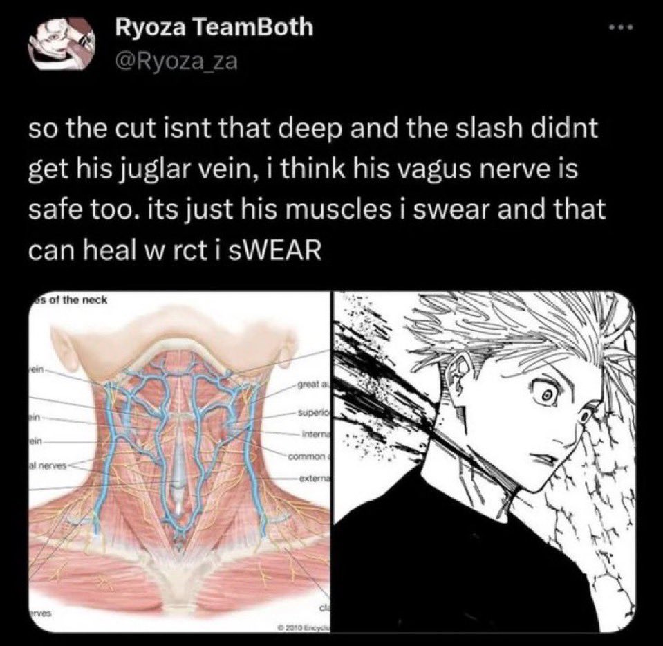 CJDLuffy's tweet image. 